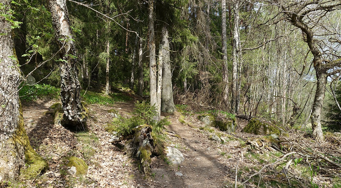 Placeholder image